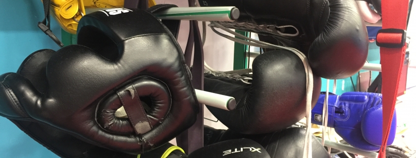 Boxing headguards